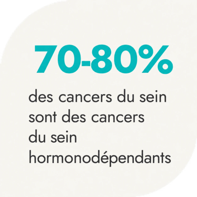 70-80&nbsp;% des cancers du sein sont hormonodépendants