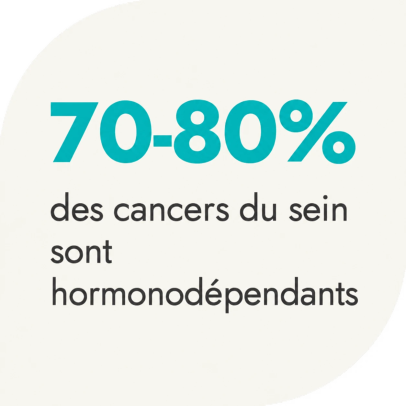 70-80 % des cancers du sein sont hormonodépendants